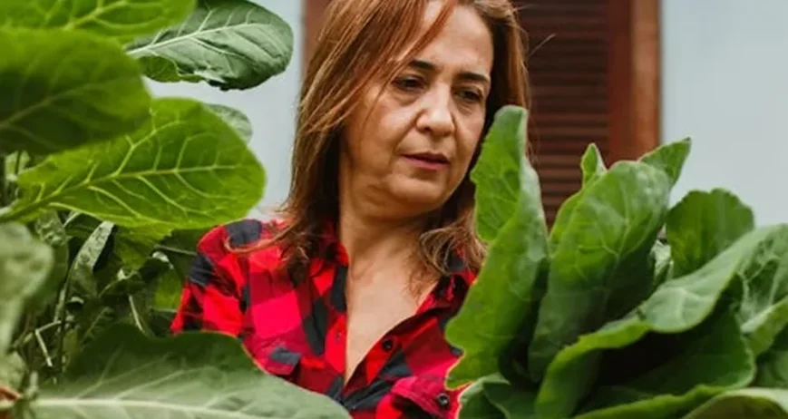 We grow fresh, organic produce using clean methods that protect nature, healthy food.