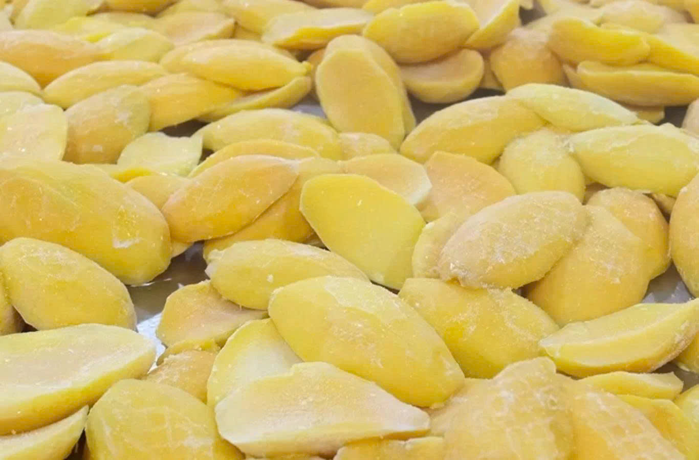 IQF FROZEN MANGO - Image 3